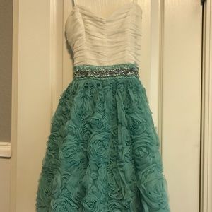 Prom or Formal dress